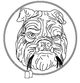 Amsterdam: AP191 BB INT